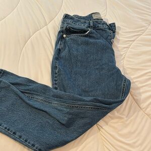 Everlane The Curvy 90s Cheeky Straight Jean Organic Cotton-Size 29